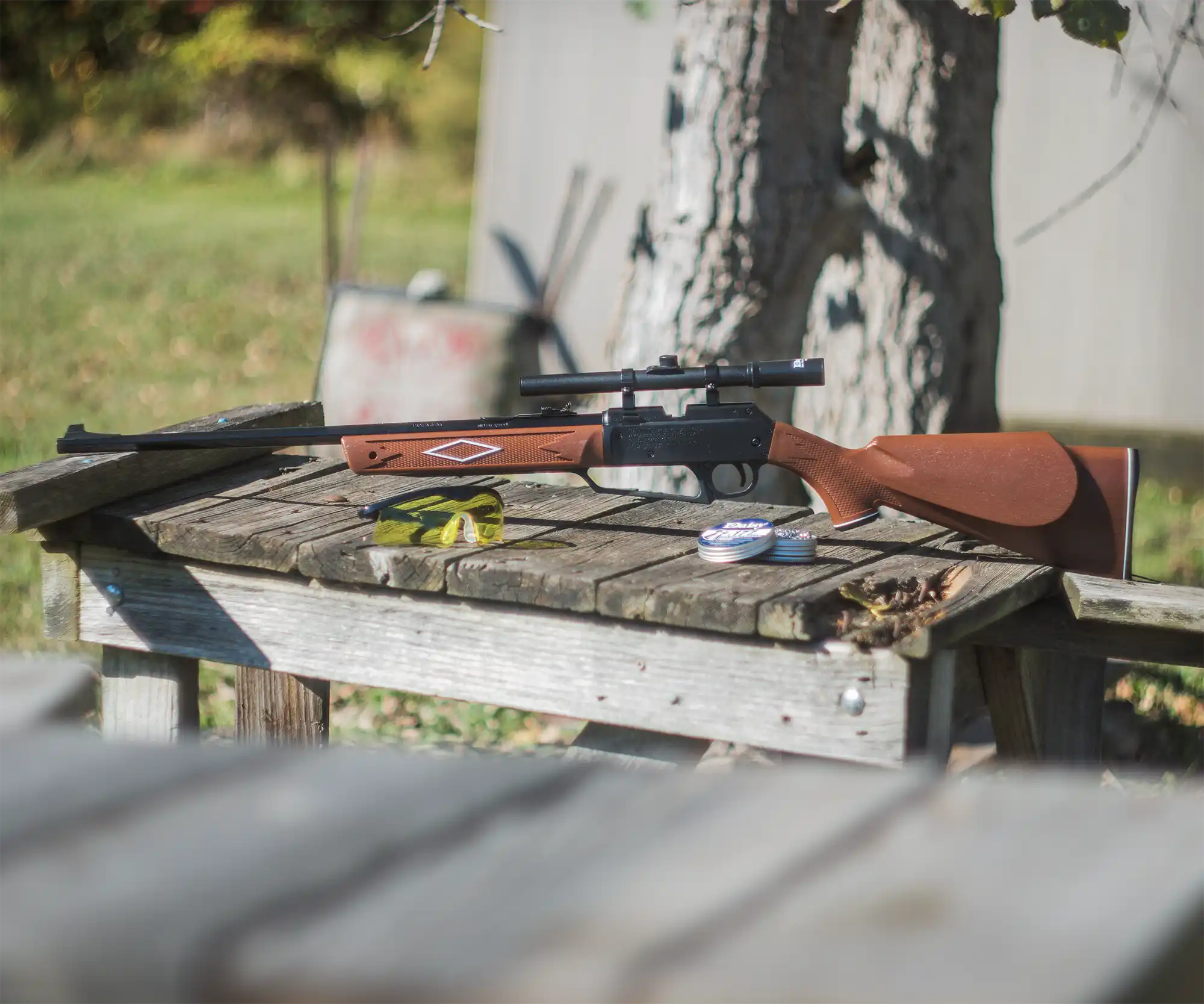 Daisy Powerline 880 Brown with Scope Outdoor Lifestyle 1